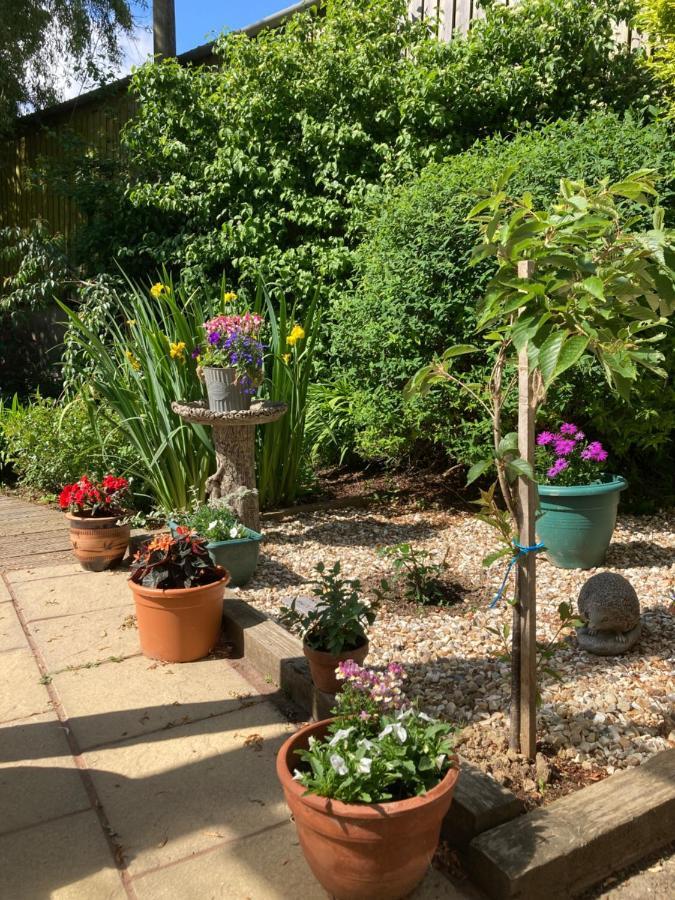East Hillerton House Guest House Кредитън Екстериор снимка