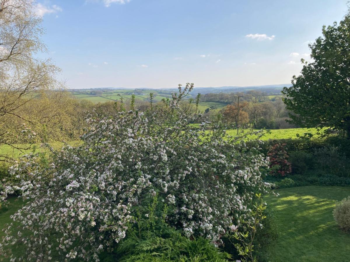 East Hillerton House Guest House Кредитън Екстериор снимка